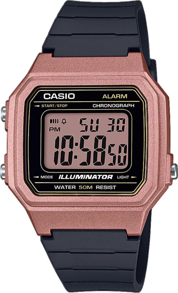 Годинник Casio TIMELESS COLLECTION W-217HM-5AVEF
