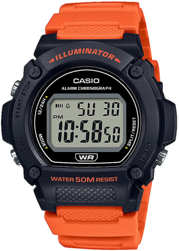 Годинник Casio TIMELESS COLLECTION W-219H-4AVEF